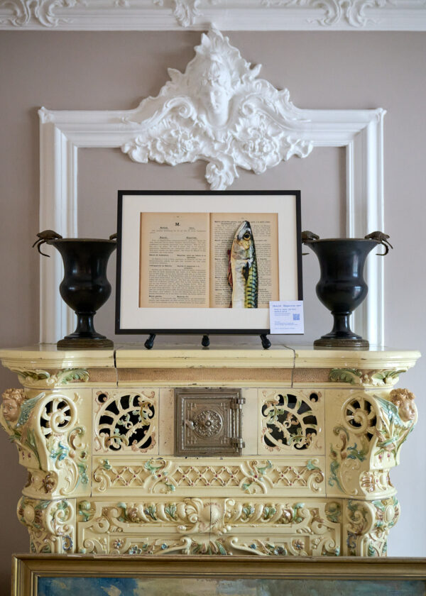 Makrele | Maquereau. 1900 | gerahmter Kunstdruck, limitiert – Bild 3