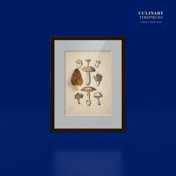 Morchel. 1820 | gerahmter Kunstdruck, limitiert – Bild 6