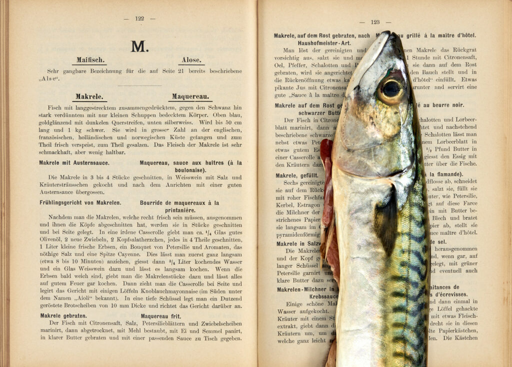 culinary timepieces by Annette Sandner: Makrele. Gastronomisches Lexikon der Fische, Krebse und Muscheln von Mitarbeitern der "Zeitung der Köche". 1900.
