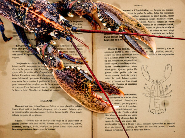 Hummer | Homard. 1924 | gerahmter Kunstdruck, limitiert – Bild 2