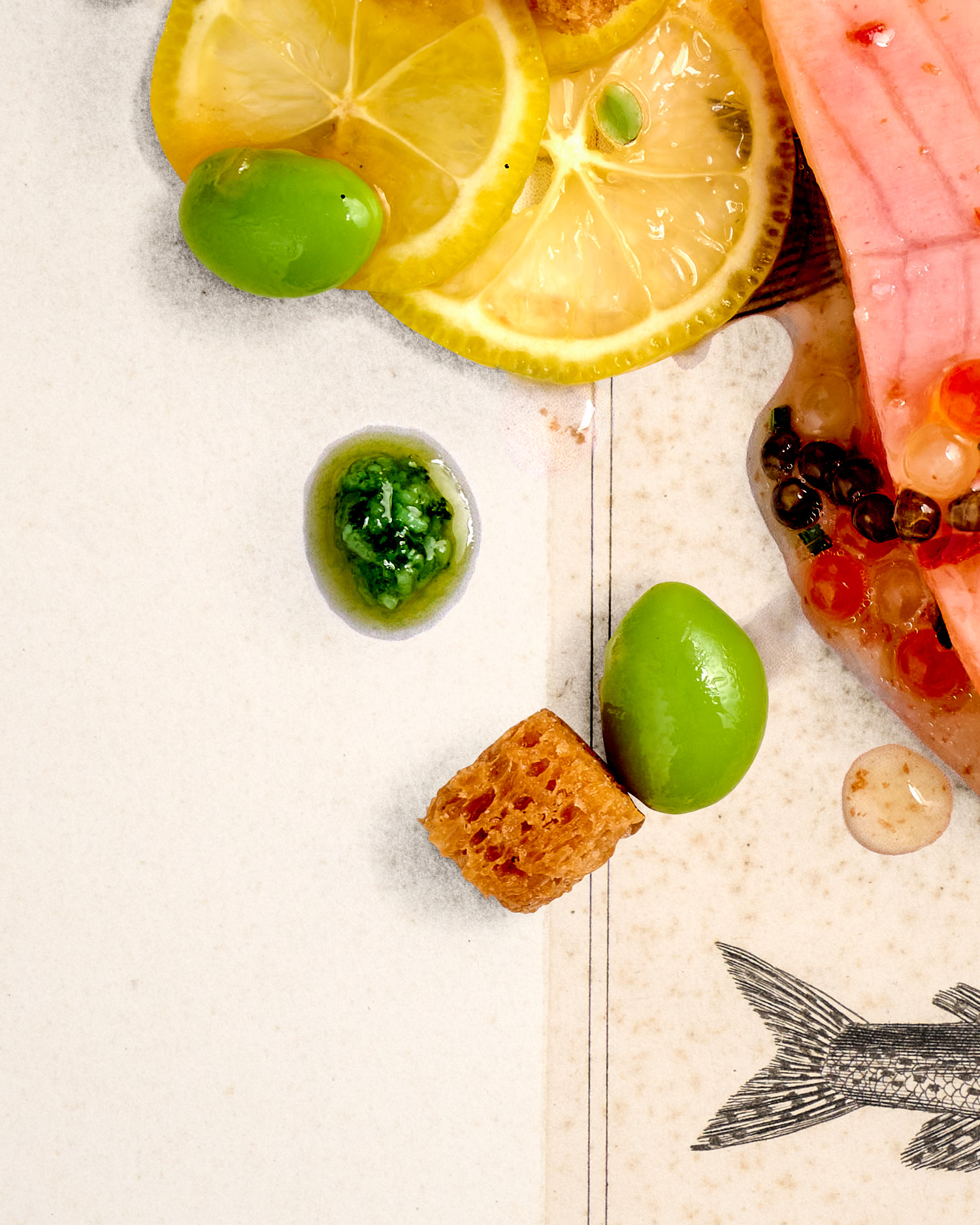 Truite-Saumonée. 1836 – Bild 4