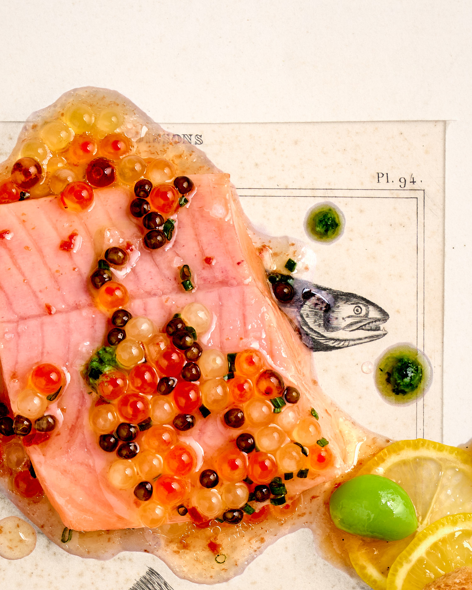 Truite-Saumonée. 1836 – Bild 3