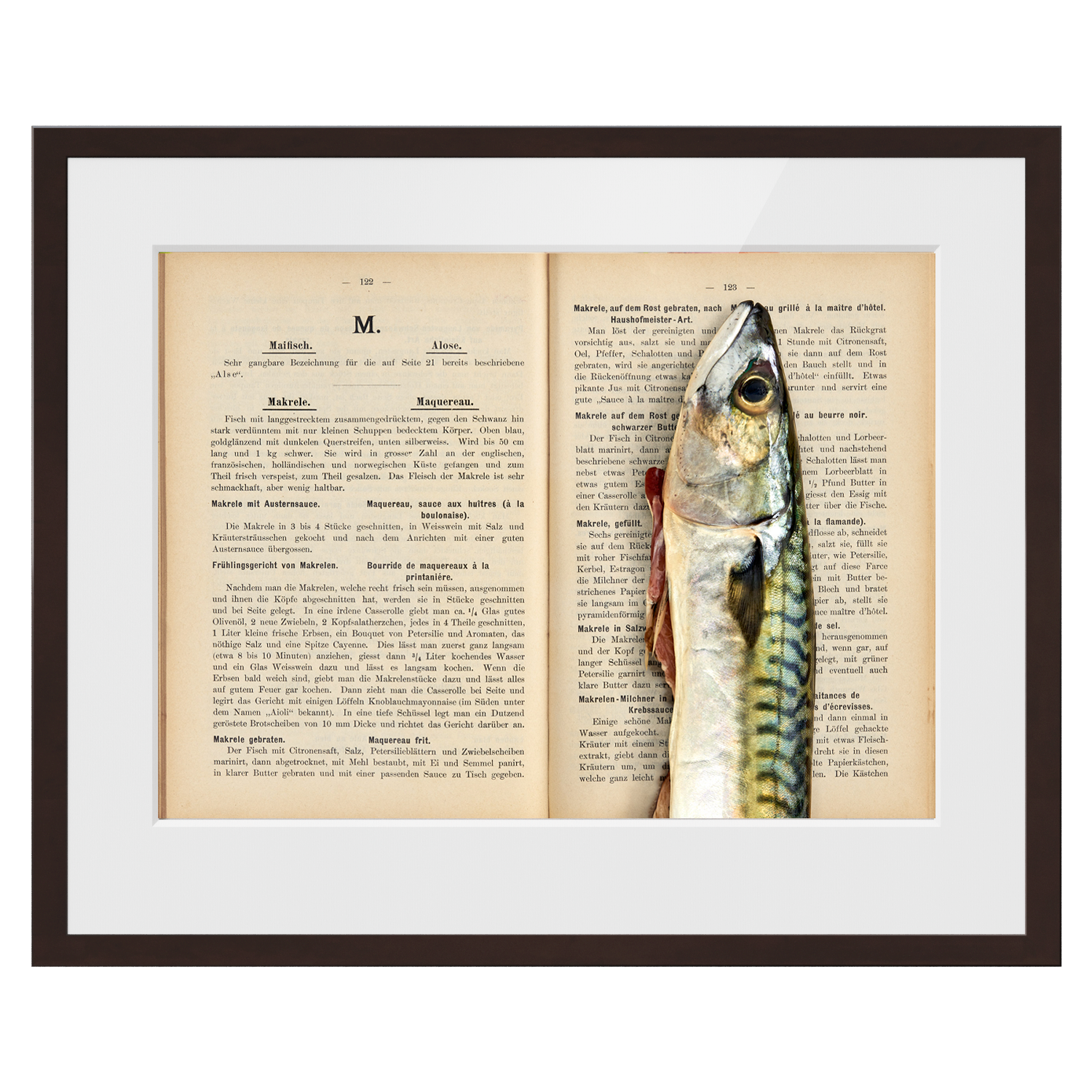 Makrele | Maquereau. 1900 culinary timepieces