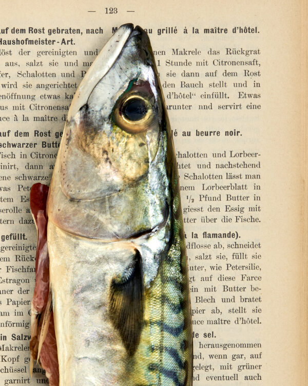 Makrele | Maquereau. 1900 | gerahmter Kunstdruck, limitiert – Bild 6