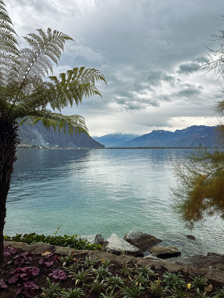 Montreux 2025 © Annette Sandner